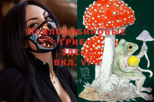 синтетический гашиш Волосово