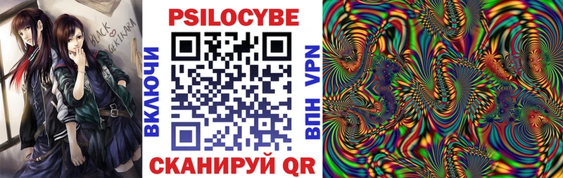 Псилоцибиновые грибы Psilocybine cubensis  гидра tor  Карачаевск 